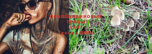 spice Струнино